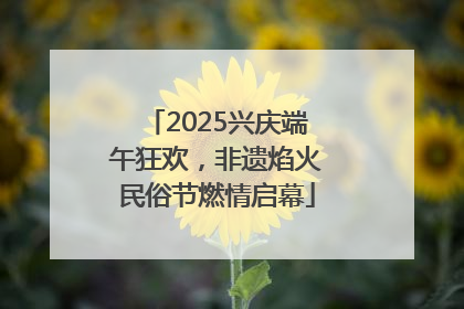 2025兴庆端午狂欢，非遗焰火民俗节燃情启幕